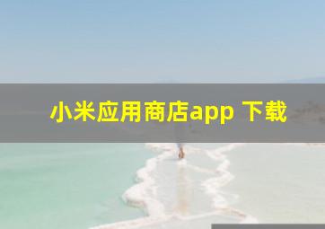 小米应用商店app 下载